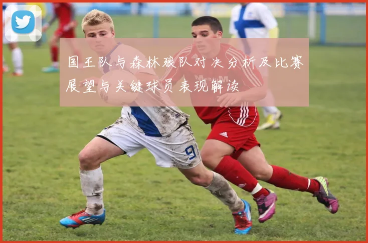 国王队与森林狼队对决分析及比赛展望与关键球员表现解读