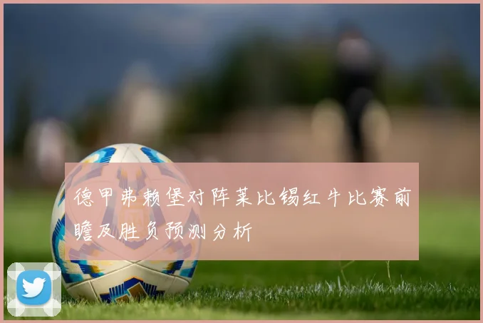 德甲弗赖堡对阵莱比锡红牛比赛前瞻及胜负预测分析