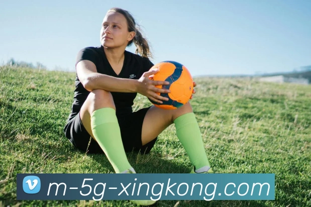 星空体育发展历程